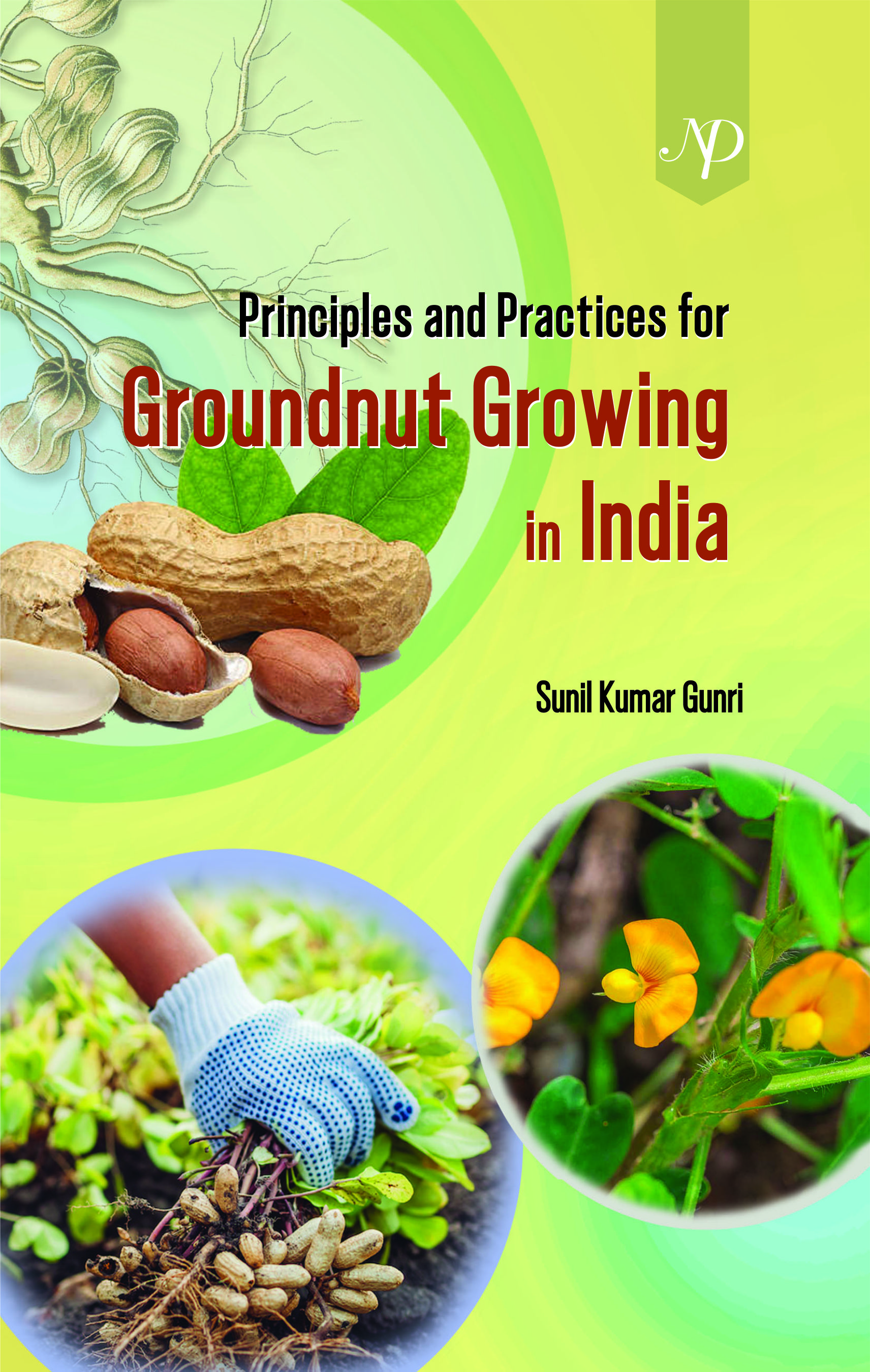 Principles and Practices for Groundnut Growing in India